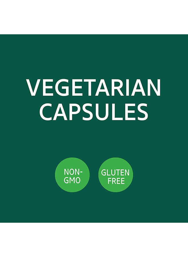 القرن الحادي والعشرون مكمل غذائي بالحلبة - 100 كبسولة 610 ملغ - Image 4